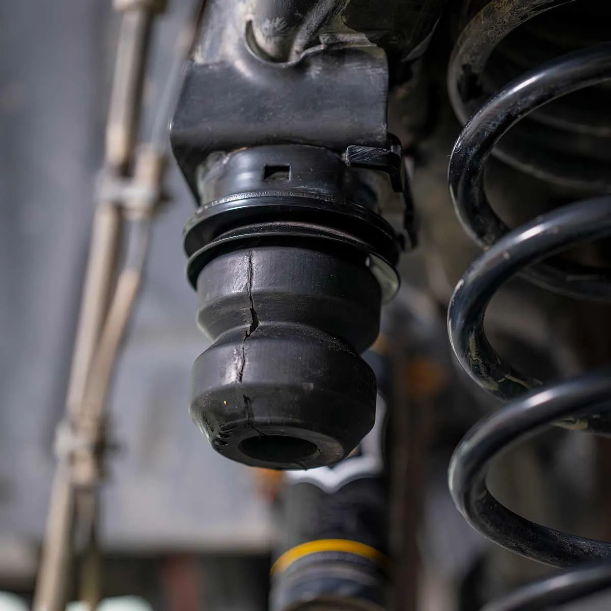 Active Off-Road Bumpstops for Jeep Gladiator - Rear Kit product image