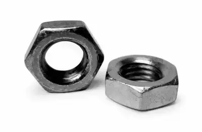 Steinjager Steinjäger Nuts Bulk Stainless Fasteners, Bulk 1-14 RH 2 Pack