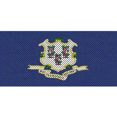 Under The Sun Inserts Connecticut State Flag