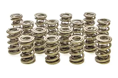 PAC Racing Springs 1.645 Triple Valve Springs (16)