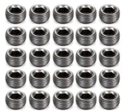 Pioneer Pipe Plugs - 3/8 (25)