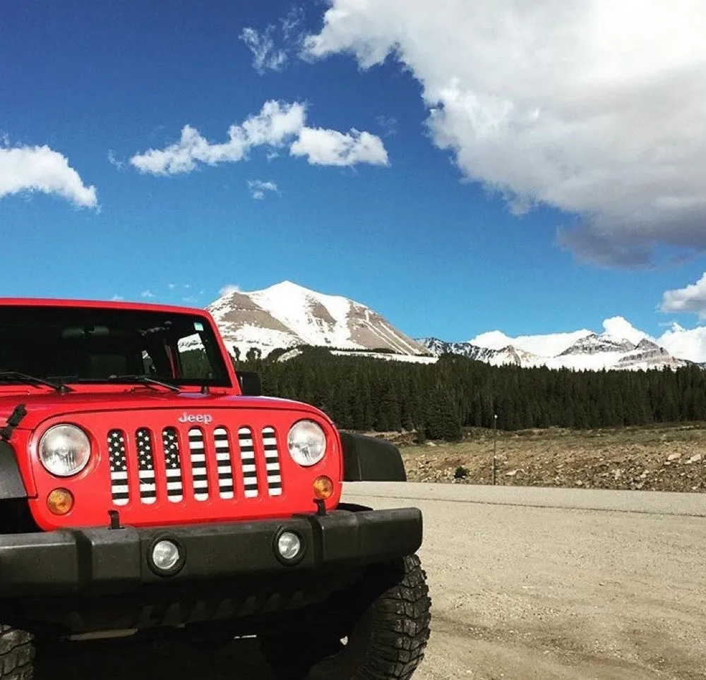 Black & White Collection American Flag Grille Inserts product image