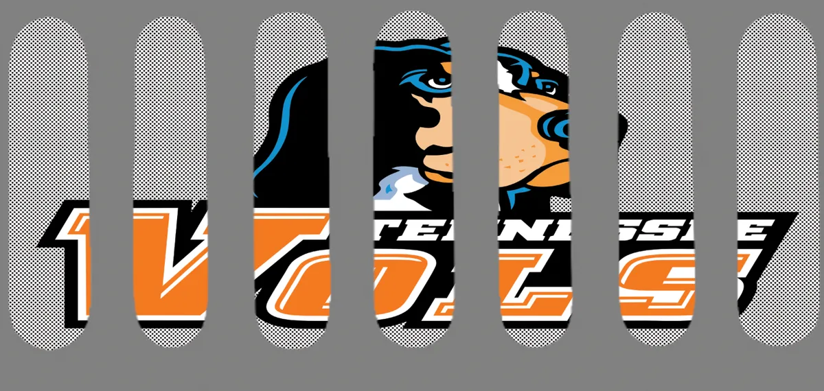 Closeout SALE!!! All sales FINAL product image