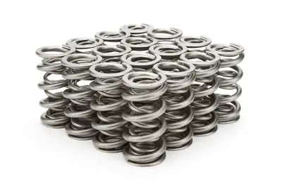 PAC Racing Springs 1.500 Dual Valve Springs (16)