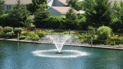 Scott Aerator Company LLC DA-20 Display Aerator for Medium, Residential Ponds