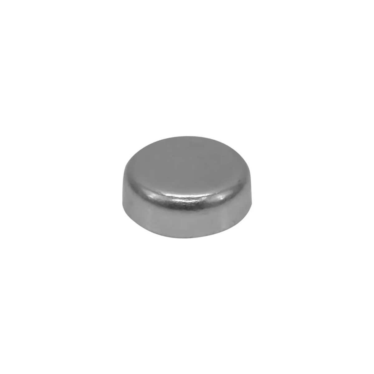 Manual Transmission ZF S542 S547 S6-650 And 6S-750 Detent Frost Plug 1 2 ZF S542 S547 6SPD M product image