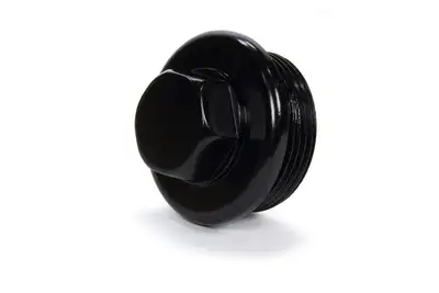 Winters O-Ring Insp Plug 1-7/8in