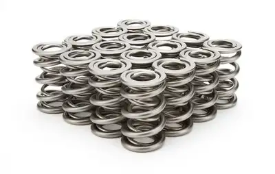 PAC Racing Springs 1.625 Dual Valve Springs (16)