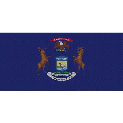Under The Sun Inserts Michigan State Flag