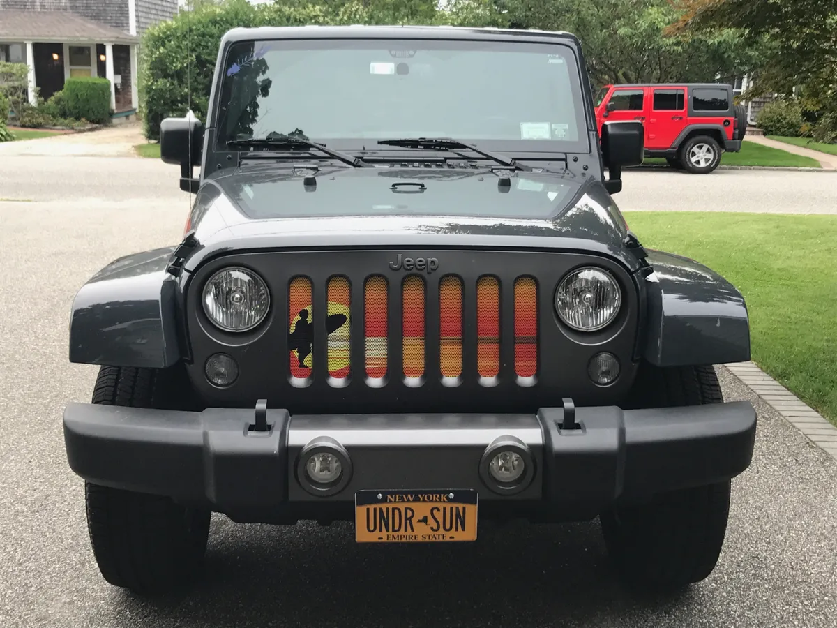 Endless Summer Collection - Surfer Guy Grille Inserts product image