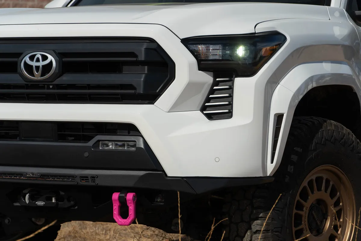 Elite Series D-Ring Shackles | Pair | Pink product image