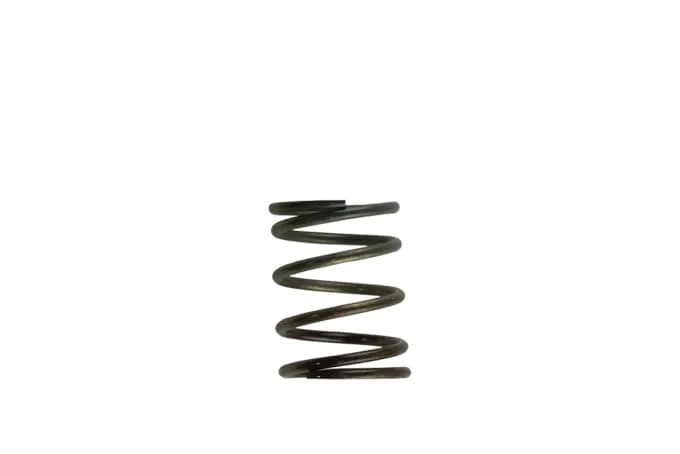 Turbosmart - TS-0505-2002 - Turbocharger Wastegate Spring product image