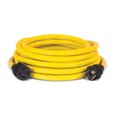 Champion Power Equipment 25ft 30 Amp 250v Generator Power Cord