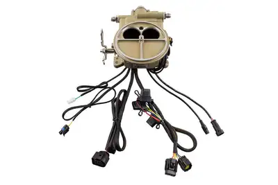 FiTech Fuel Injection Go EFI 2 Barrel EFI Kit HP Classic Gold