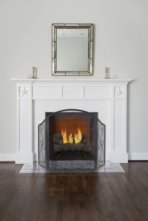 Iris Scroll Fireplace Screen product image