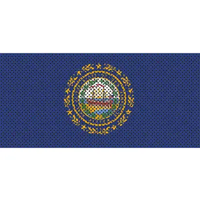 Under The Sun Inserts New Hampshire State Flag