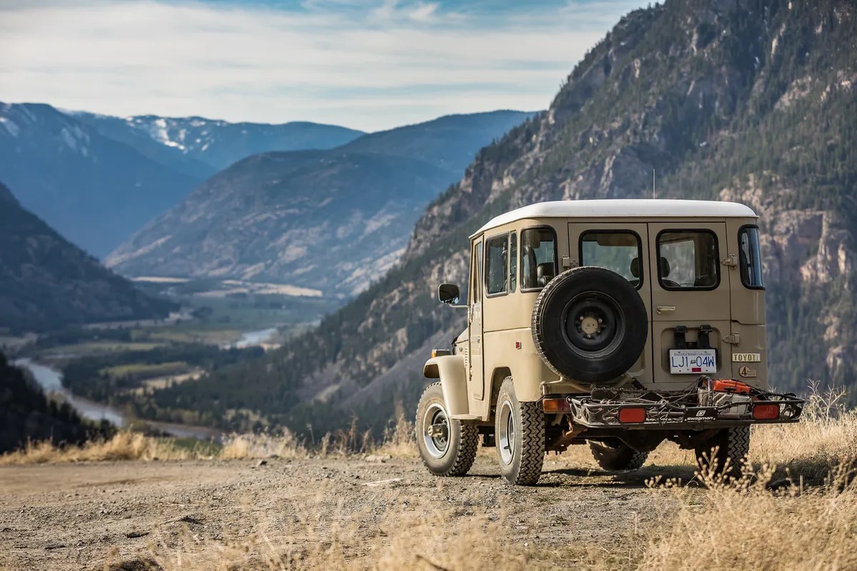 Expanse Cargo Tray product image