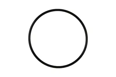 TurboSmart USA BOV PowerPortProPort Inlet Flange O-ring