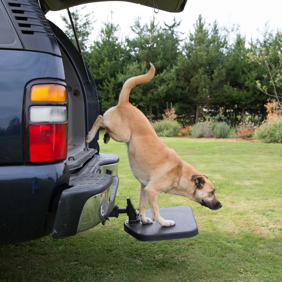 Heininger Portablepet Twistep Pet Step product image