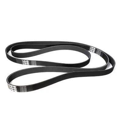 Pacific Performance Engineering Pacific Performance Engineering Serpentine Belt - 2003-2012 Ram 5.9L/6.7L Single Alt - Stock Length Belt 3227mm 8 Rib