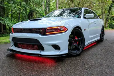 Diode Dynamics Diode Dynamics - RGBW Multicolor Underglow LED Kit