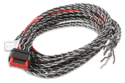 MSD Harness Main Coil Replacement 8000