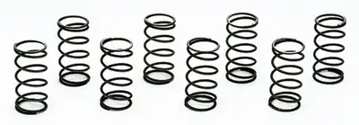 Moroso Valve Checking Springs-8