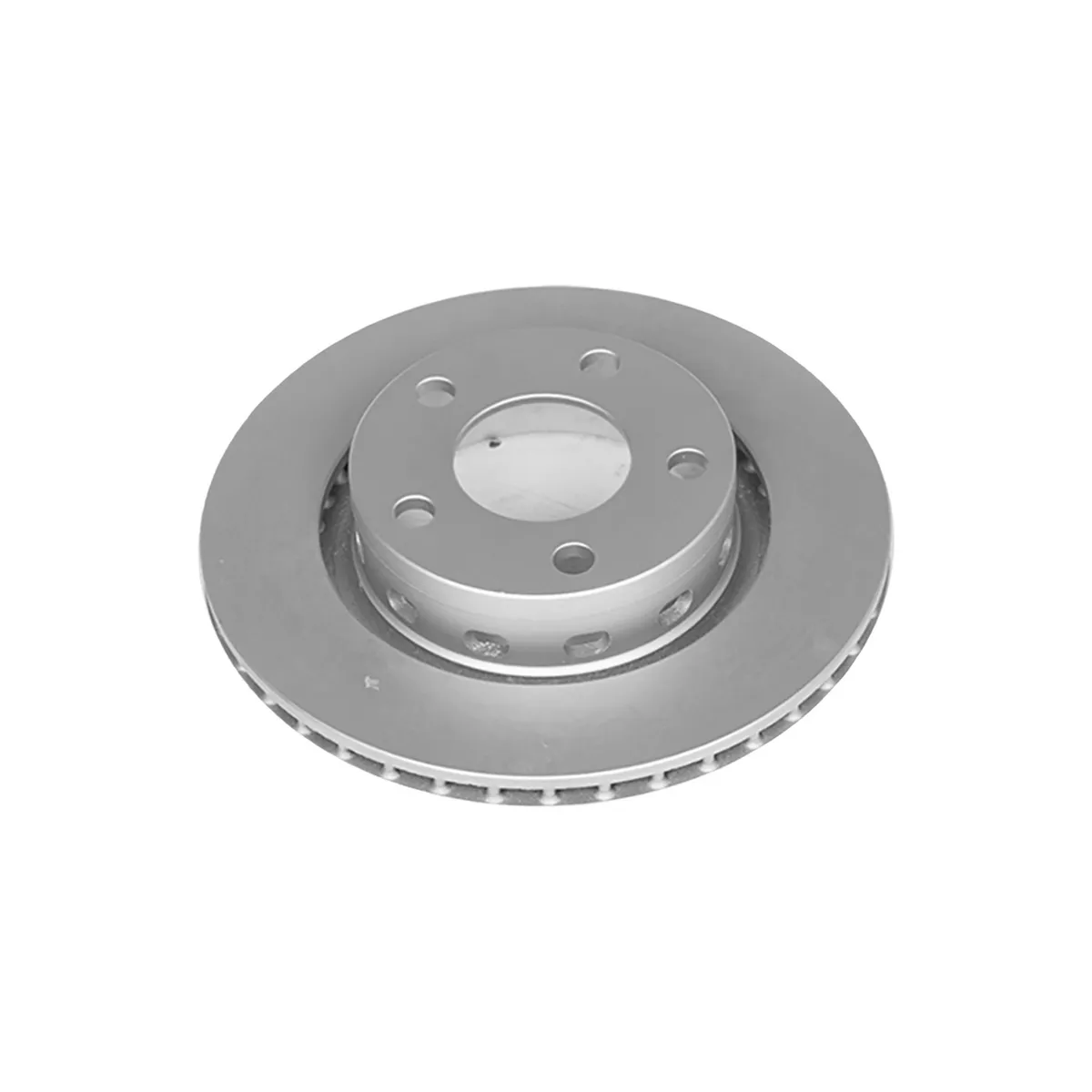 Evolution Coated Rotor Rear 2004-00 Audi Volkswagen a6 Passat s6 product image