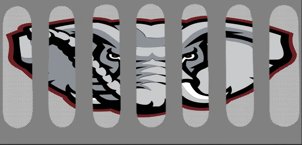 Closeout SALE!!! All sales FINAL product image