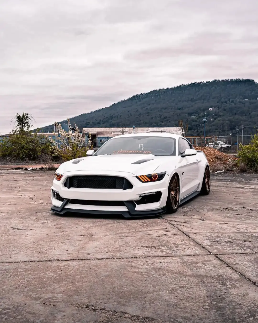 ORACLE Lighting 2015-2017 Ford Mustang V6/GT/Shelby ColorSHIFT DRL Upgrade w/Halo Kit product image