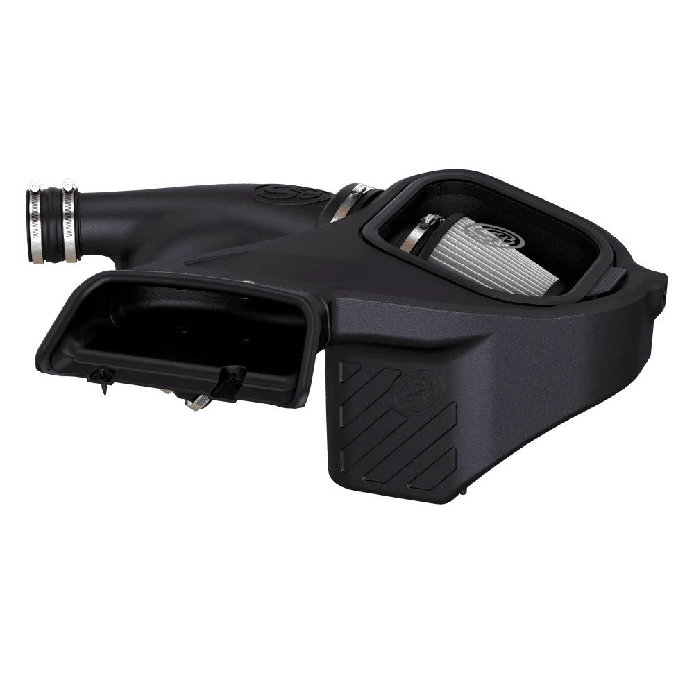 17-18 Ford F150 Raptor 2.7L 3.5L Ecoboost - Cold Air Intake Dry Filter product image