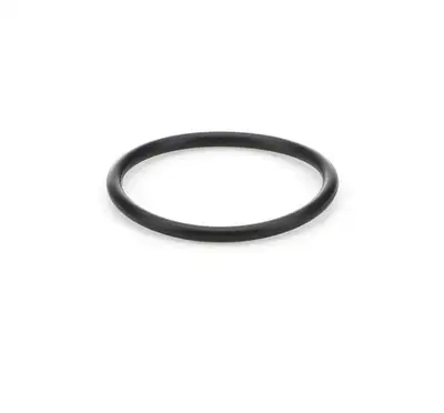 Bert Transmission O-Ring 1/16 x 1in 2nd Generation