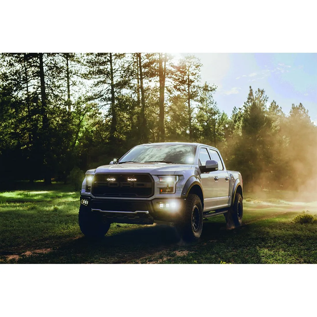 Rigid D-Series Pro LED Light, Driving Optic, Surface Mount, Black Housing, Pair product image