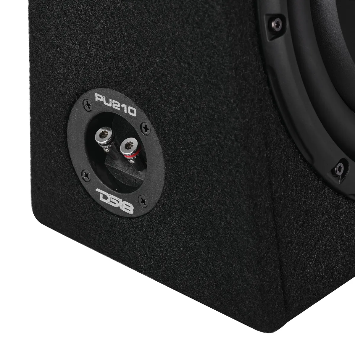 Loaded 10” Subwoofer + Passive Radiator Enclosure for Pickup Trucks product image