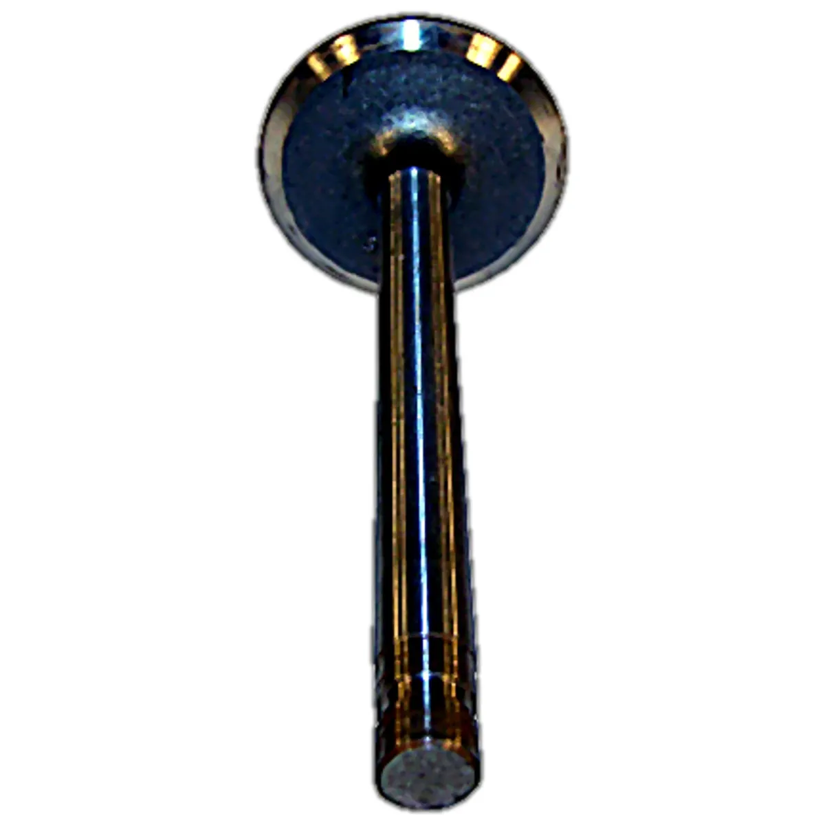 1981-1983 Cherokee SJ w/ 4.2L engine; .015in Oversize 1981-1983 CJ-5 CJ w/ 4.2L engine; .015in Oversize 1981-1986 CJ-7 CJ w/ 4.2L engine; .015in Oversize 1981-1986 CJ-8 CJ w/ 4.2L engine; .015in Oversize 1987-1990 Wrangler YJ w/ 4.2L engine; .015in Ov product image