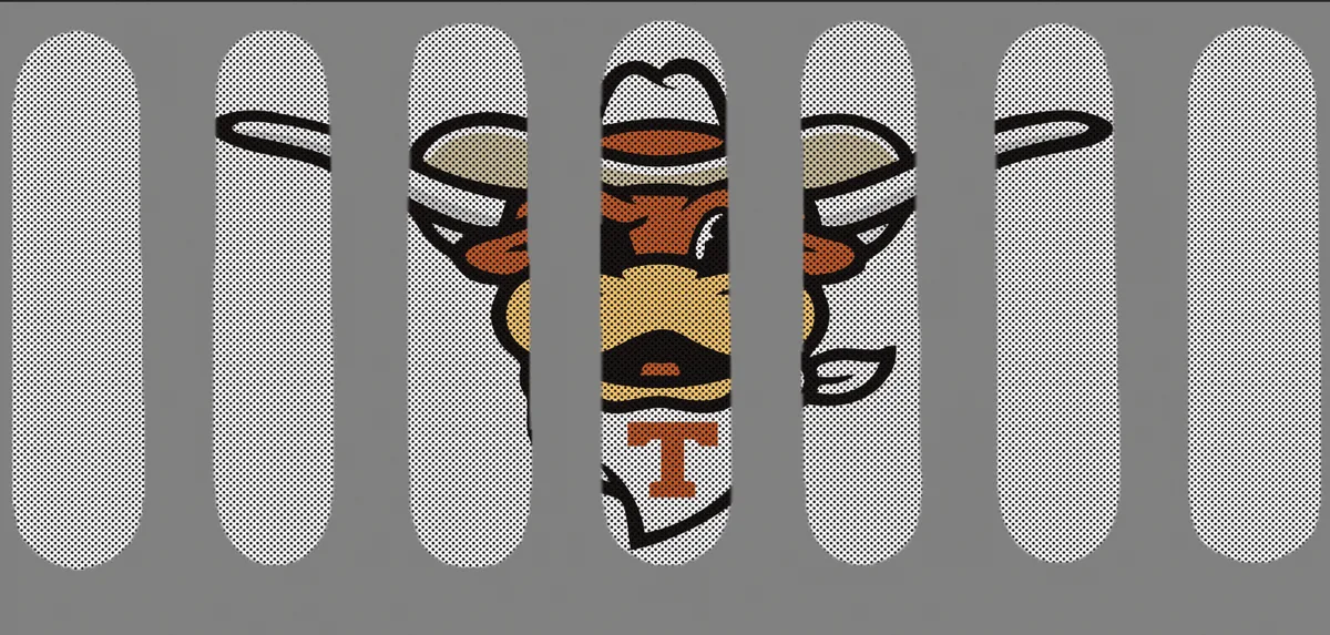 Closeout SALE!!! All sales FINAL product image