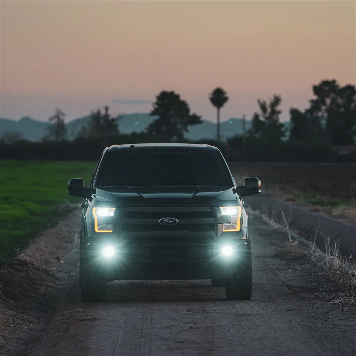 Rigid Industries D-Series SAE Fog Lights, Amber/White - Pair product image
