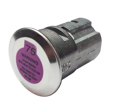 BOLT (Poly Bag)9506 gm a Earlier Model Vehicles Replacement Cylinder Lock For Servic