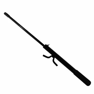 Greenfield Beach Spike