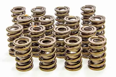 Isky 1.560in Valve Springs