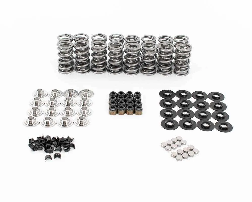 Brian Tooley Racing LS7 Dual Spring Kit - .685in Lift - SK702