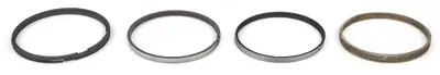Total Seal 4.060 CS Piston Ring Set .9 .9 2.0mm File Fit