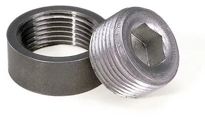 Moroso Plug Inspection 1 in Npt