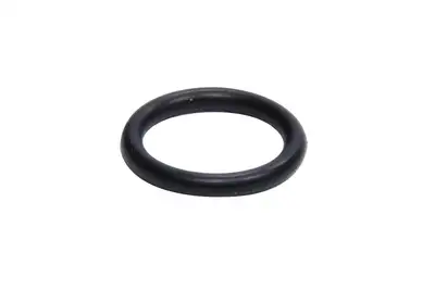 Bert Transmission O-Ring 9/16 OD x 1/16