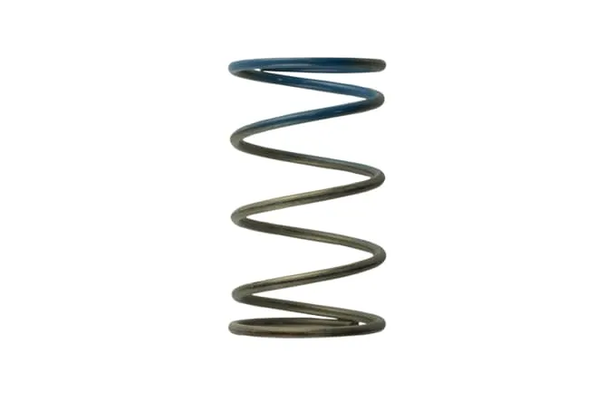 Turbosmart - TS-0505-2005 - Turbocharger Wastegate Spring product image