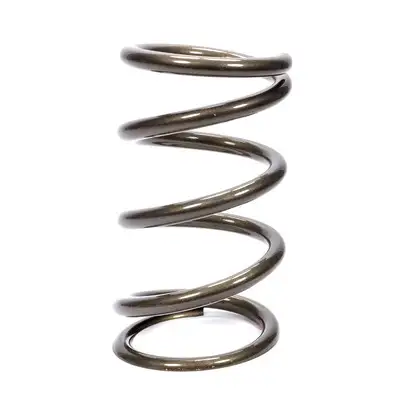 Eibach Springs Individual Coilover Race Spring Middle 500mm Inside Diameter Silver