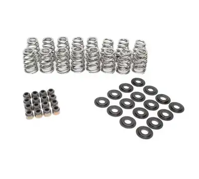 Brian Tooley Racing Beehive Valve Spring Kit .625