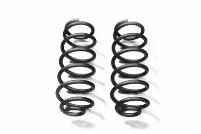 Steinjager Suspensions 2018 to Present Springs Rear Coil 3.0 Inch Lift Bare