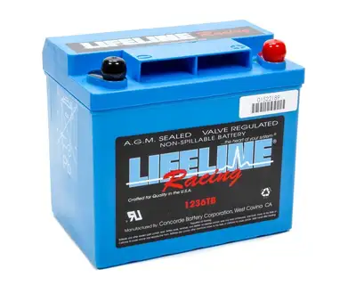Lifeline Battery Power Cell Battery 7.71 x 5.18 x 6.89