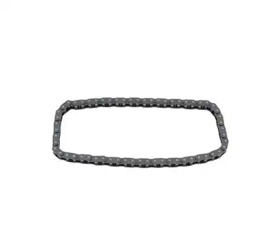 Brian Tooley Racing HD Timing Chain